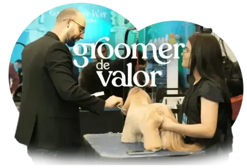Capa Graduação Groomer de Valor